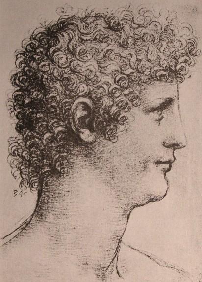 Drawing Of Salai — Leonardo Da Vinci