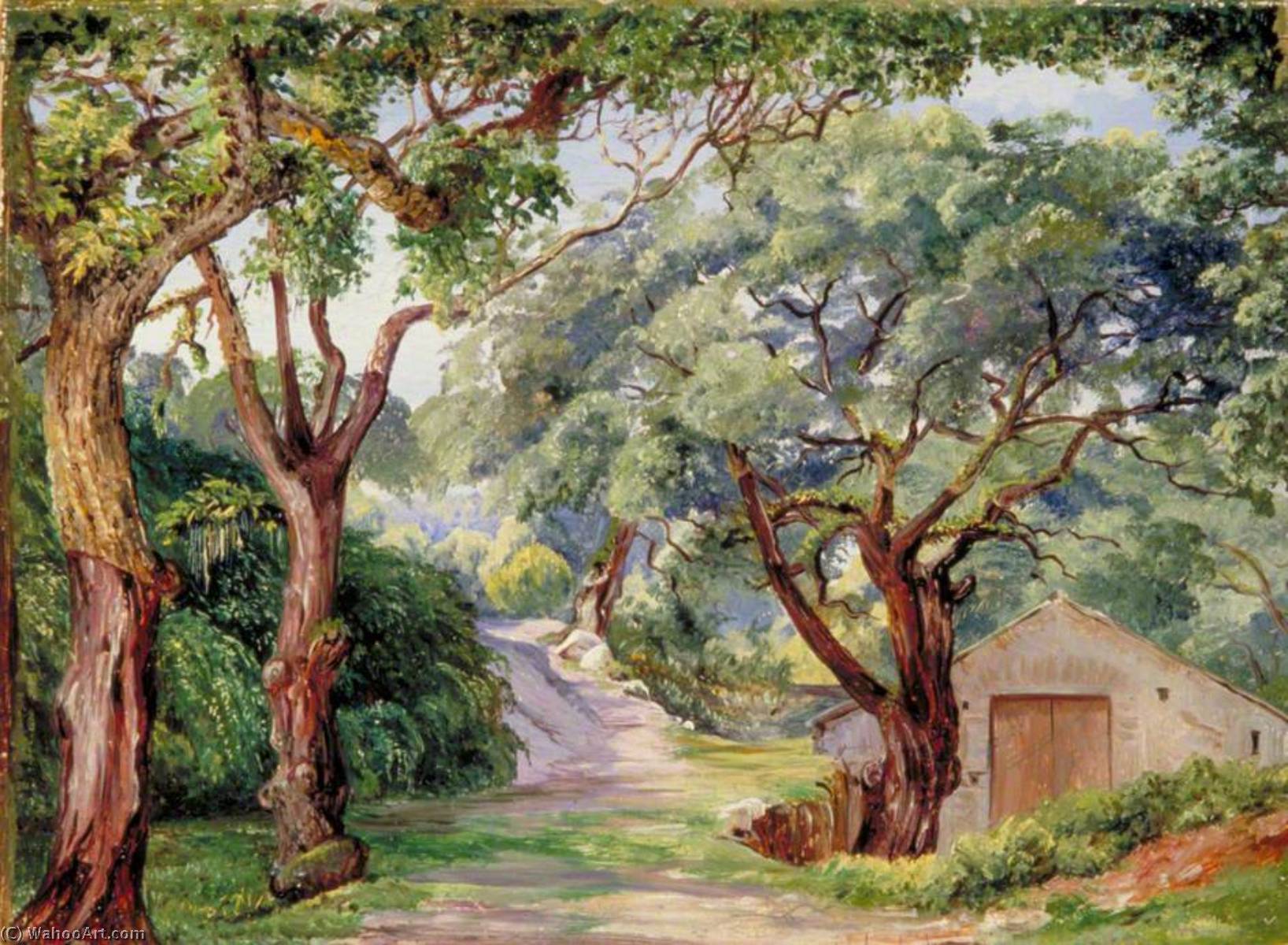 Cork Trees At Cintra Near Lisbon — Marianne North