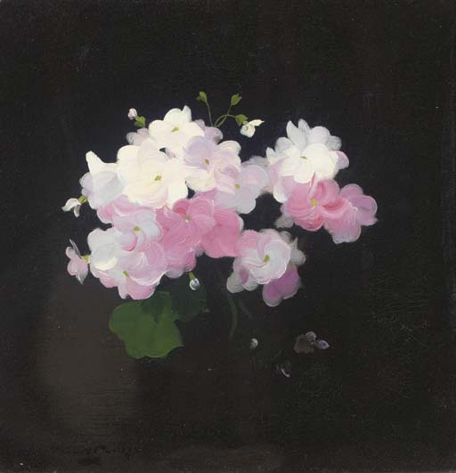 Pink And White Camellias — James Stuart Park