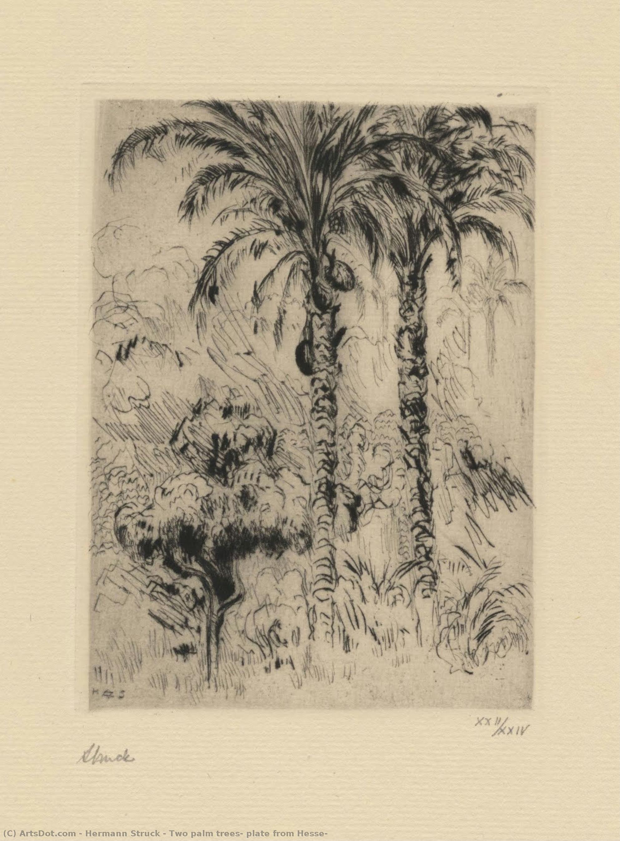 Two Palm Trees, Plate From Hesse — Hermann Struck