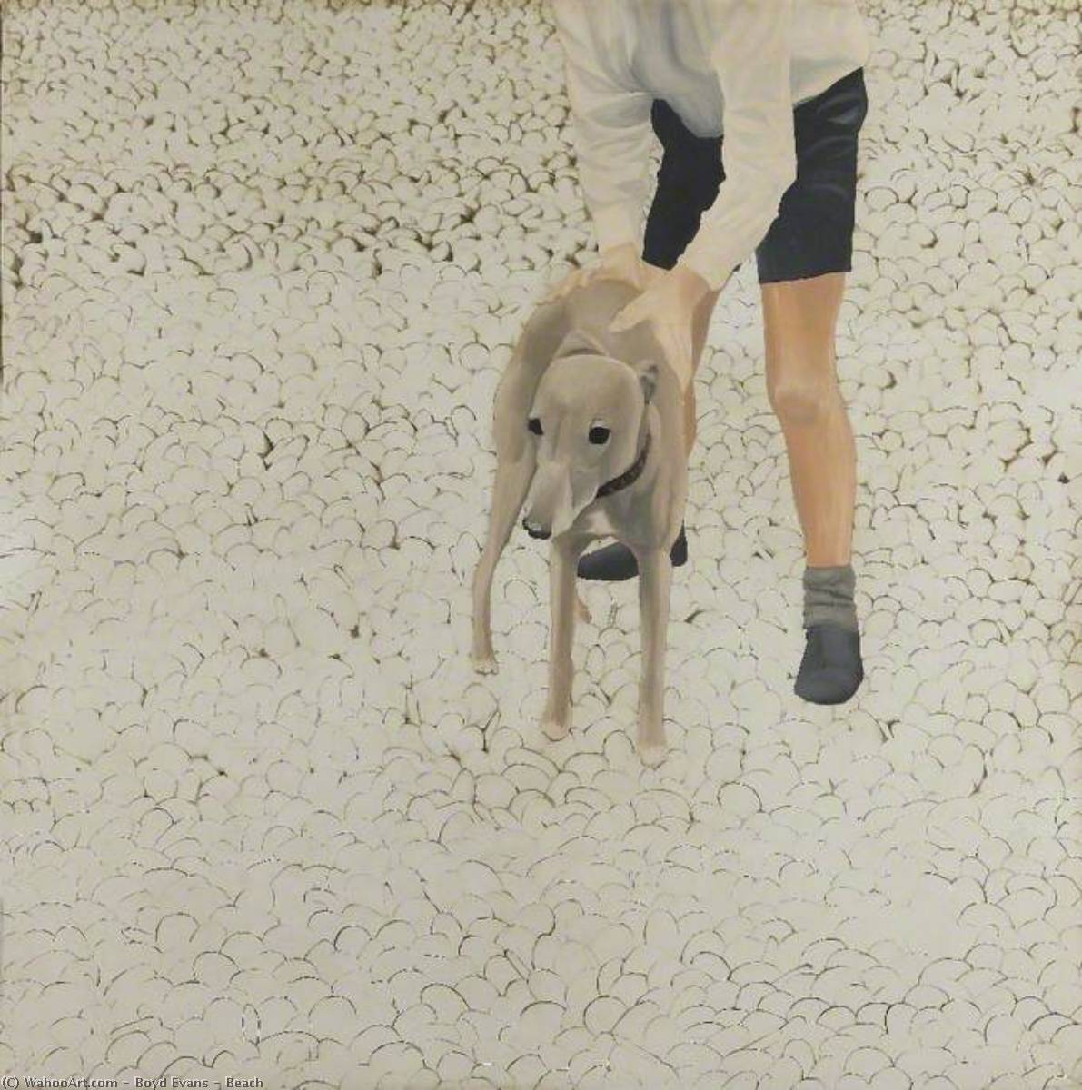 Beach — Boyd Evans
