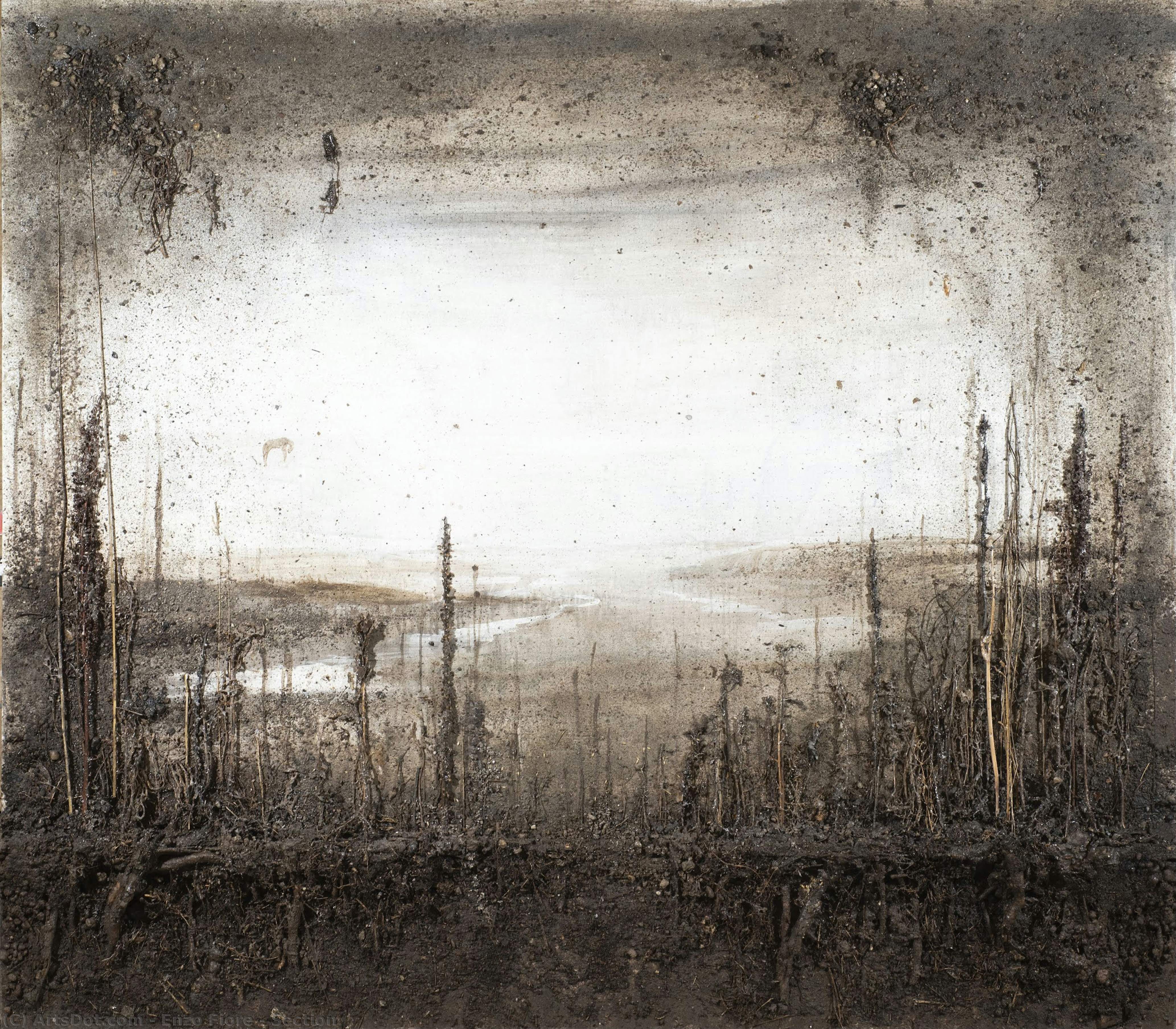 Section — Enzo Fiore