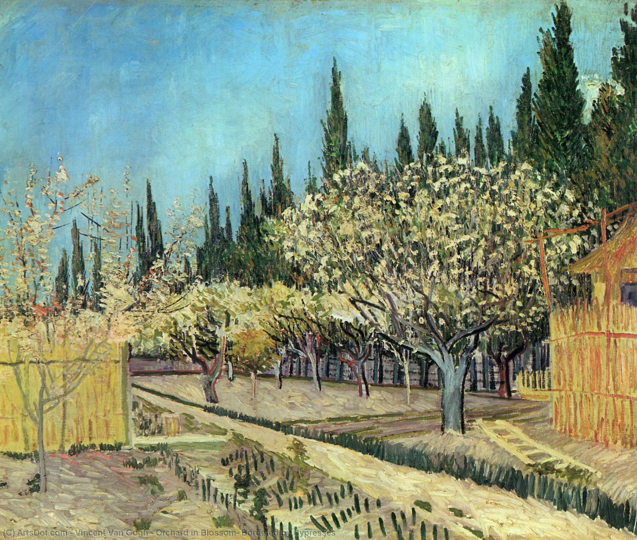 Orchard In Blossom, Bordered By Cypresses — Vincent Willem Van Gogh
