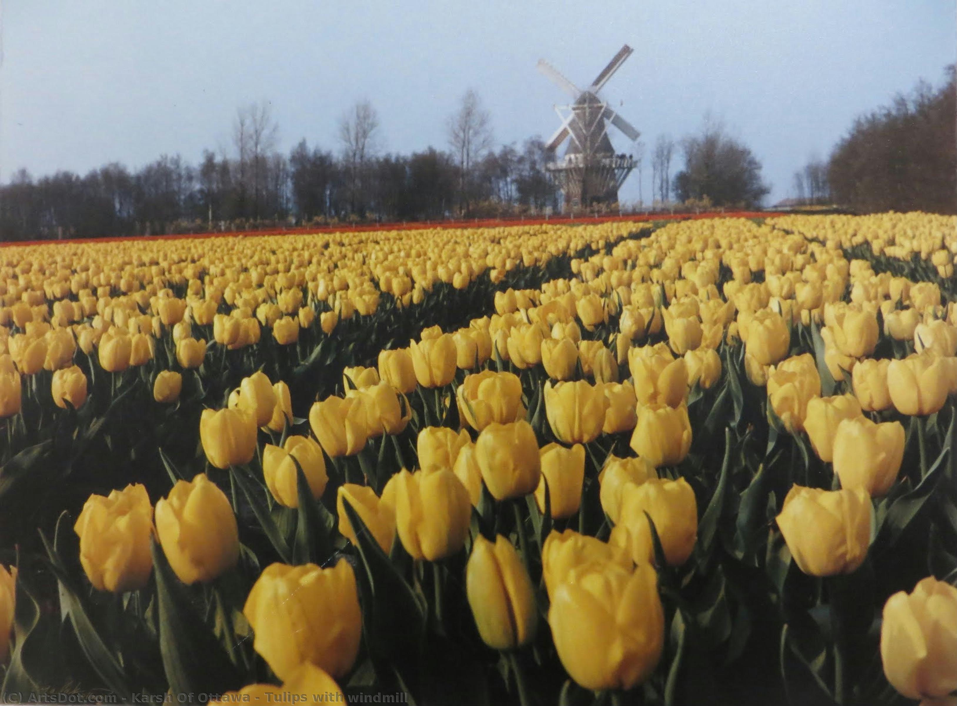 Tulips With Windmill — Karsh Of Ottawa