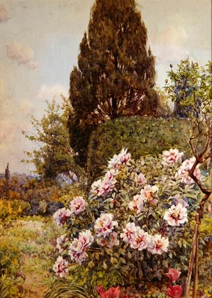 Peonies — Ernest Arthur Rowe