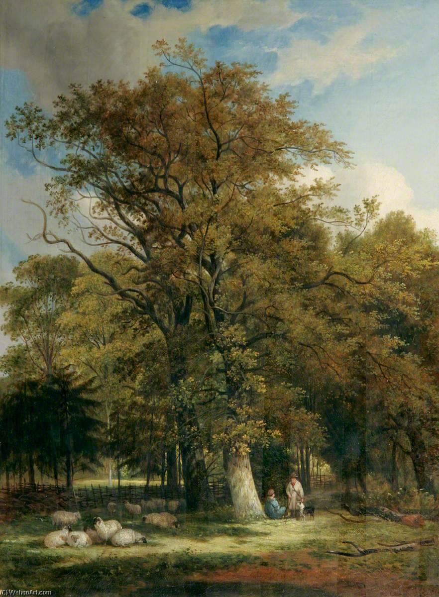 Queen's College Grove, Cambridge — Samuel David Colkett