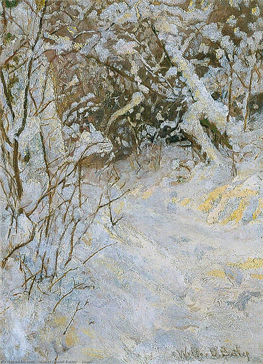 Snow — Walter Daniel Batley