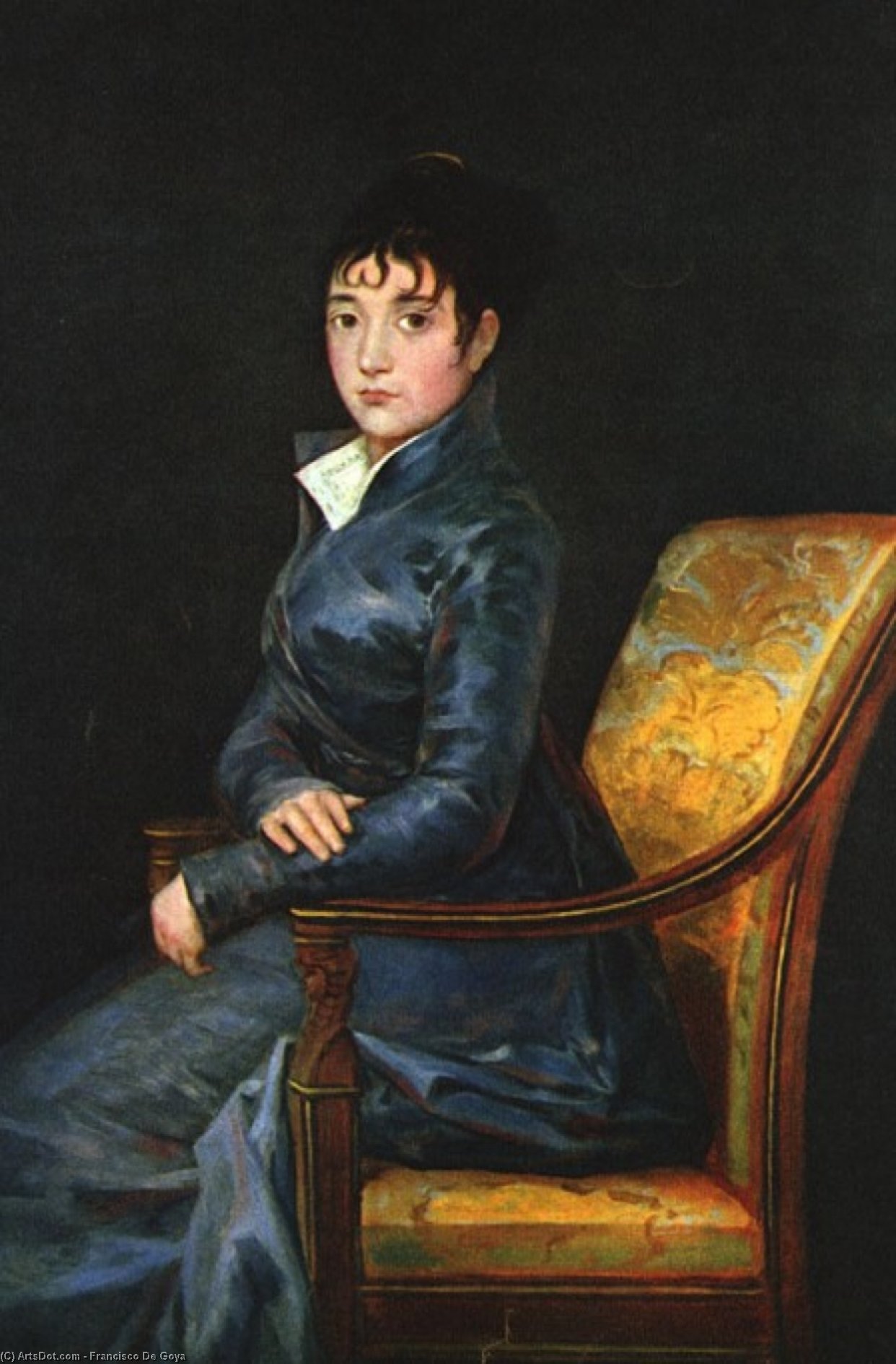 Dona Teresa Sureda — Francisco José De Goya Y Lucientes