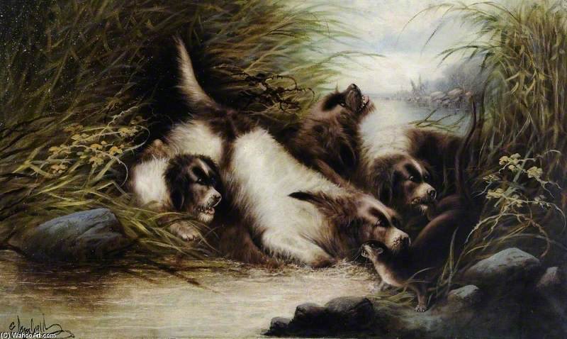 Terriers — George Armfield (smith)