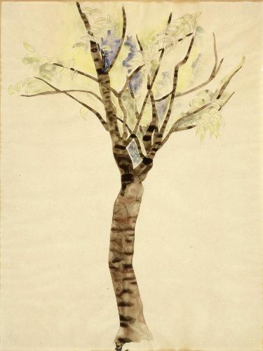 Tree — Charles Demuth