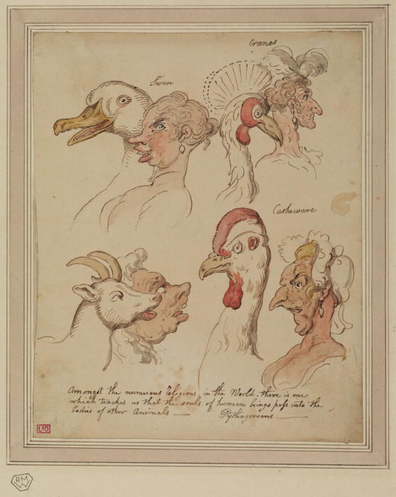 Comparative Studies Of Human And Animal Heads — Thomas Rowlandson