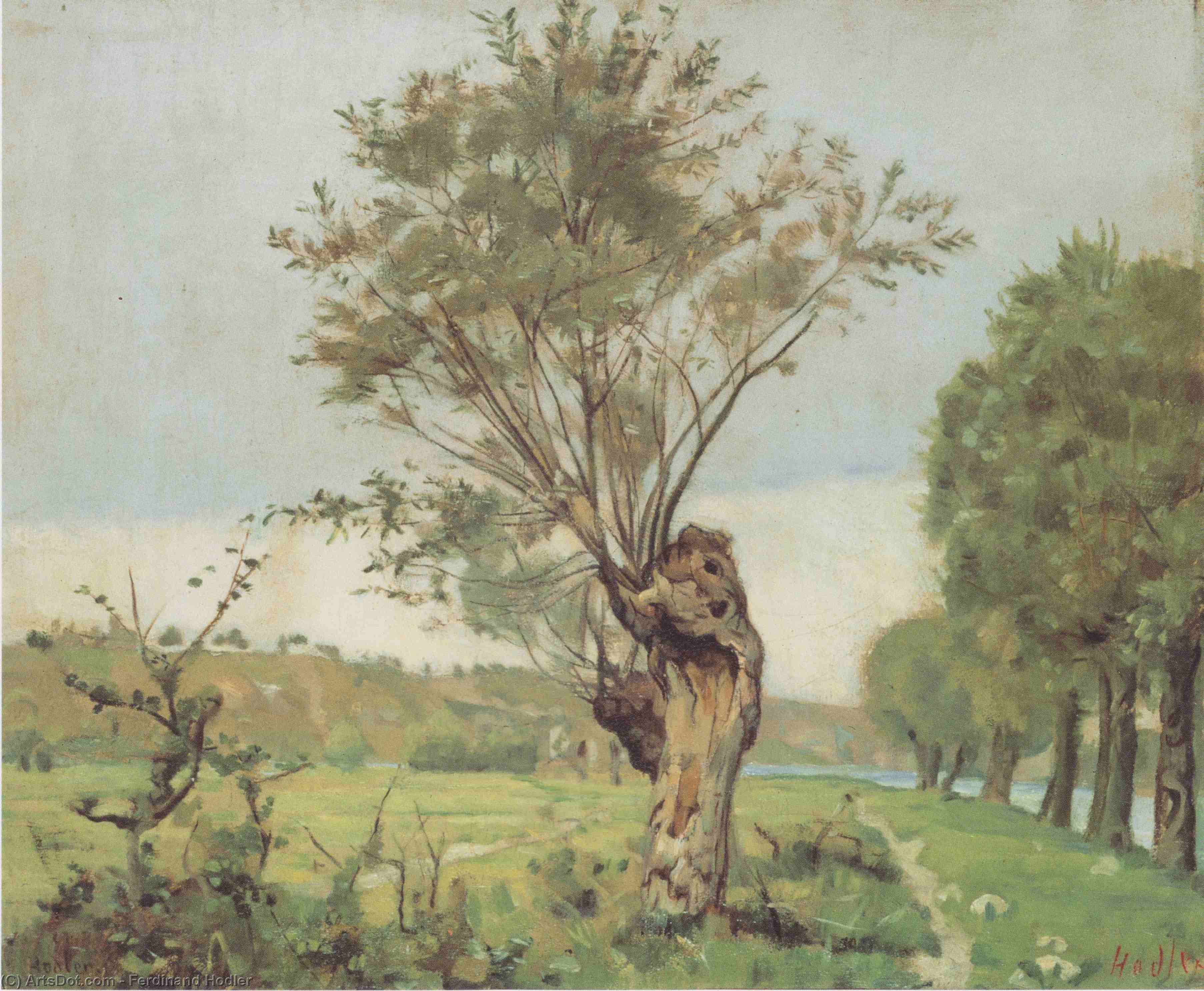 Pastures At The Jonction At Geneva — Ferdinand Hodler
