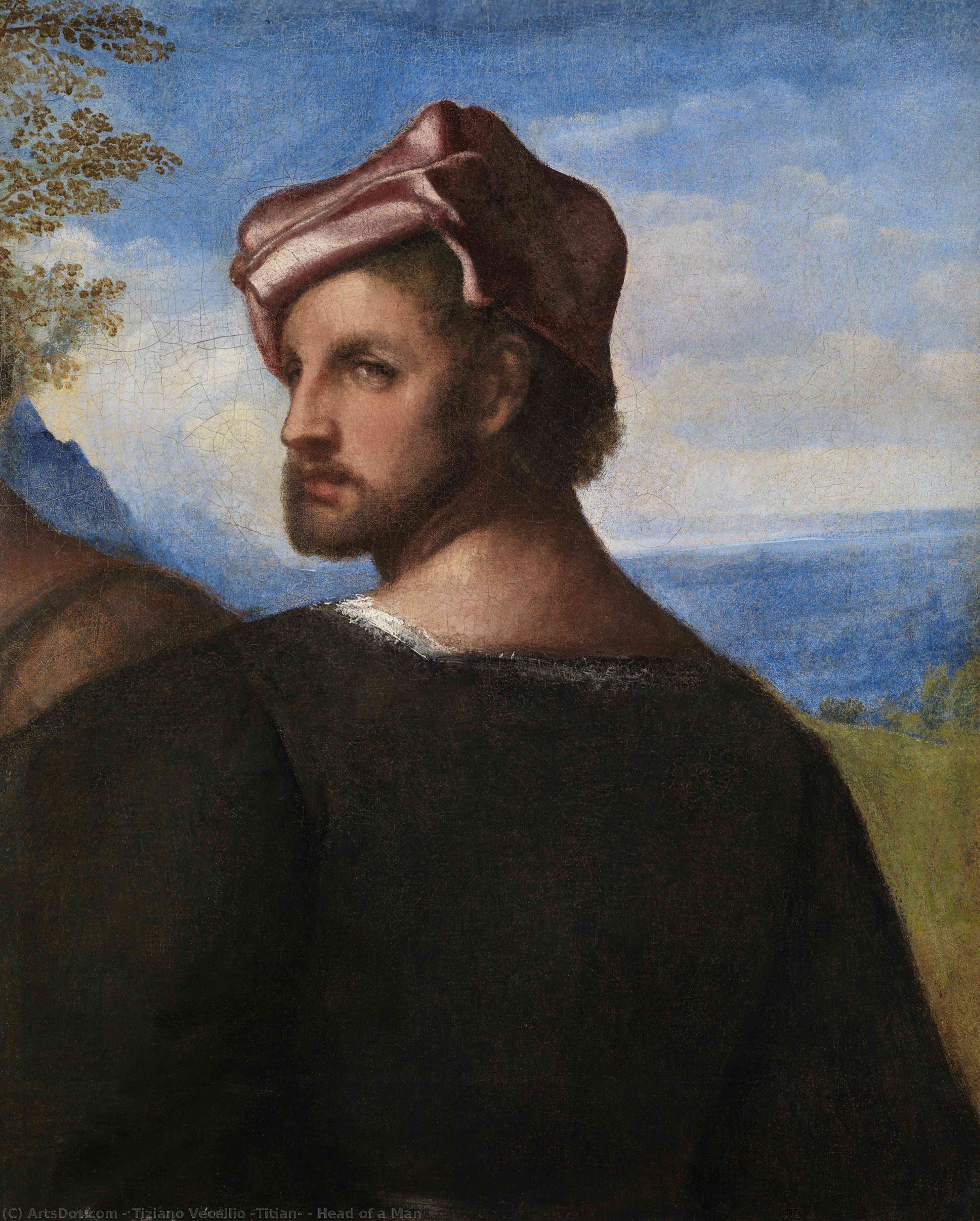 Head Of A Man — Titian