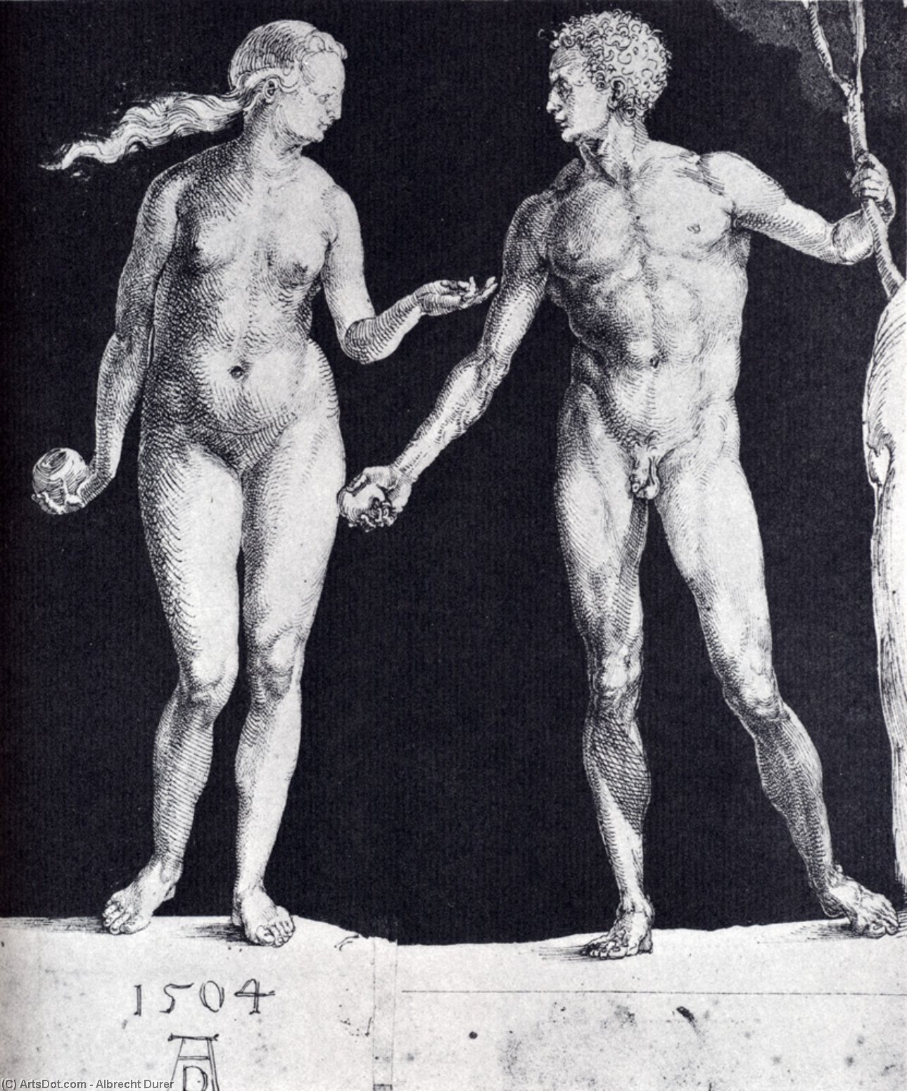 Idealistic Male And Female Figures — Albrecht Dürer