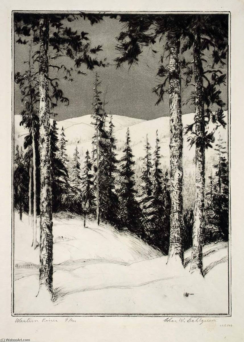 Western Pines — Charles W Dahlgreen