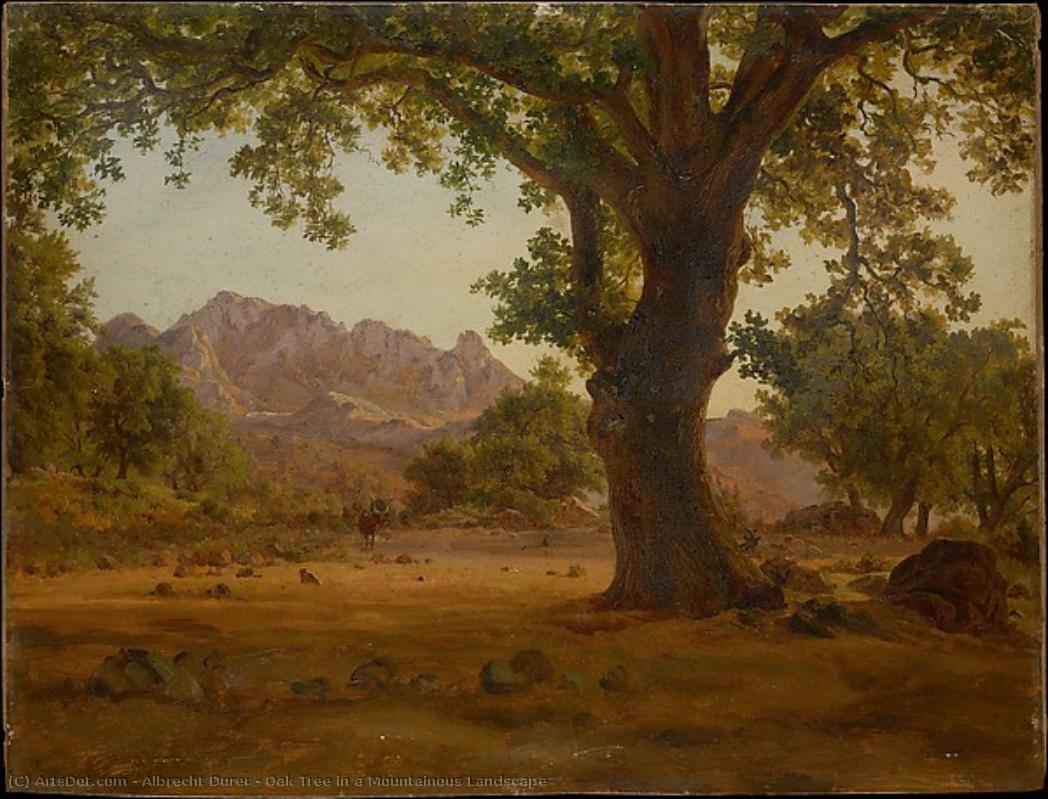 Oak Tree In A Mountainous Landscape — Albrecht Dürer