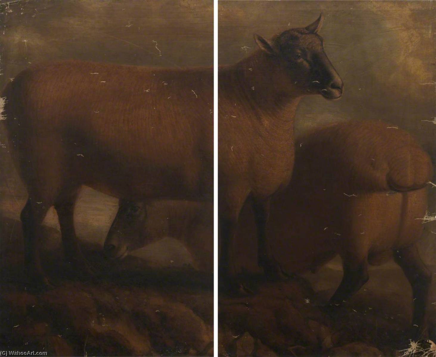 Somerset Ewe And Lamb (diptych) — William Shiels