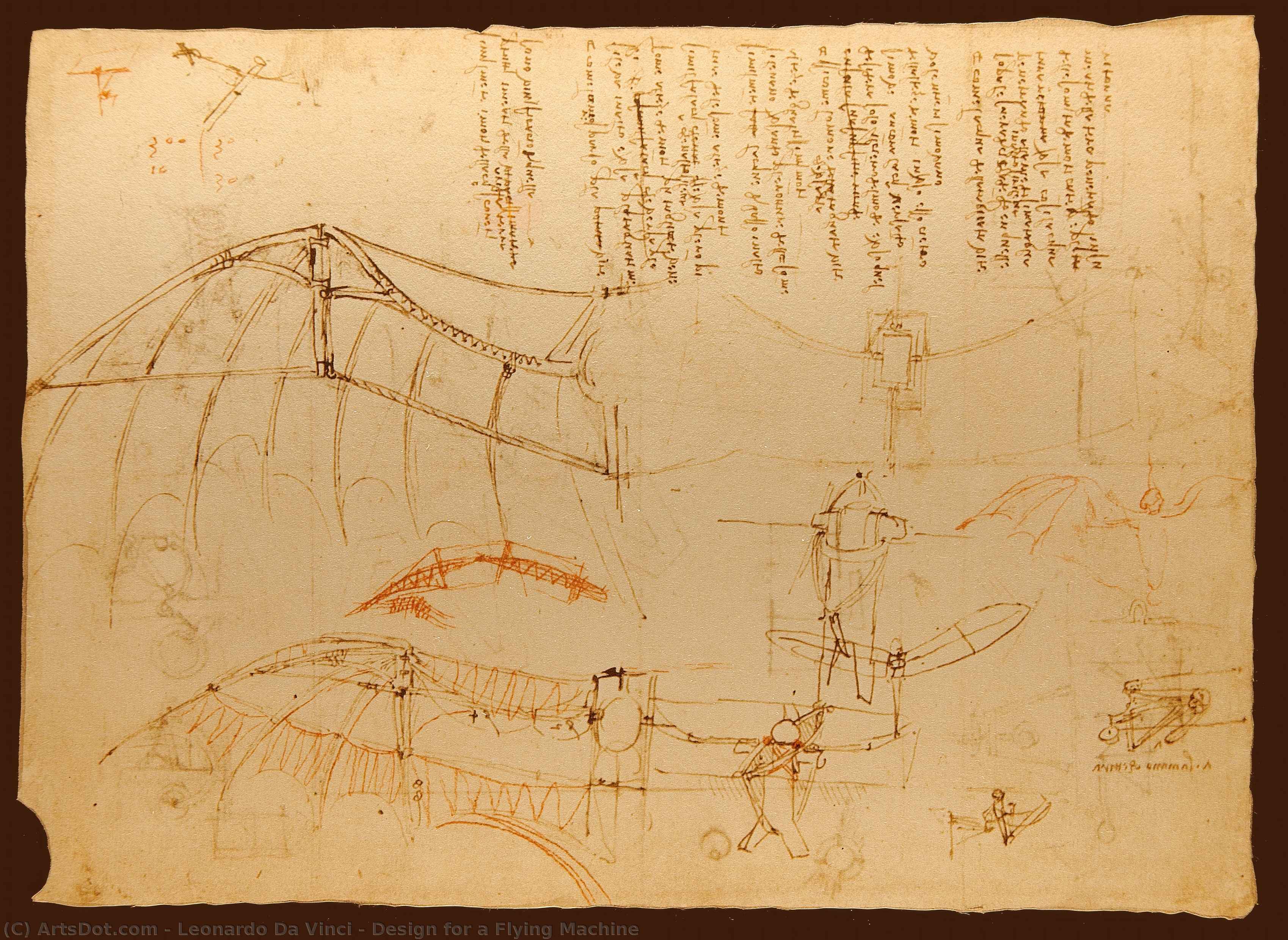 Diseño Para Una Máquina Voladora — Leonardo Da Vinci