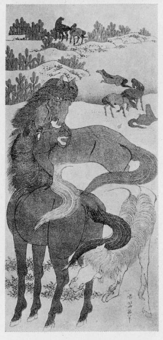Horse — Katsushika Hokusai