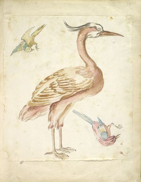 Standing Heron And Two Small Birds — Jean-baptiste Oudry