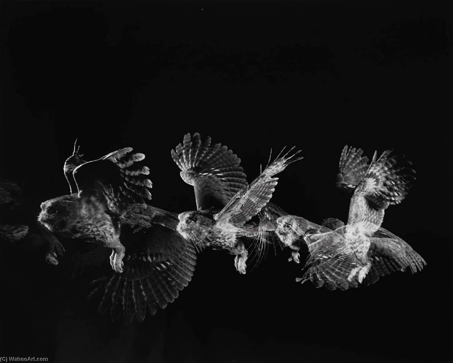 Spooky — Harold E Edgerton