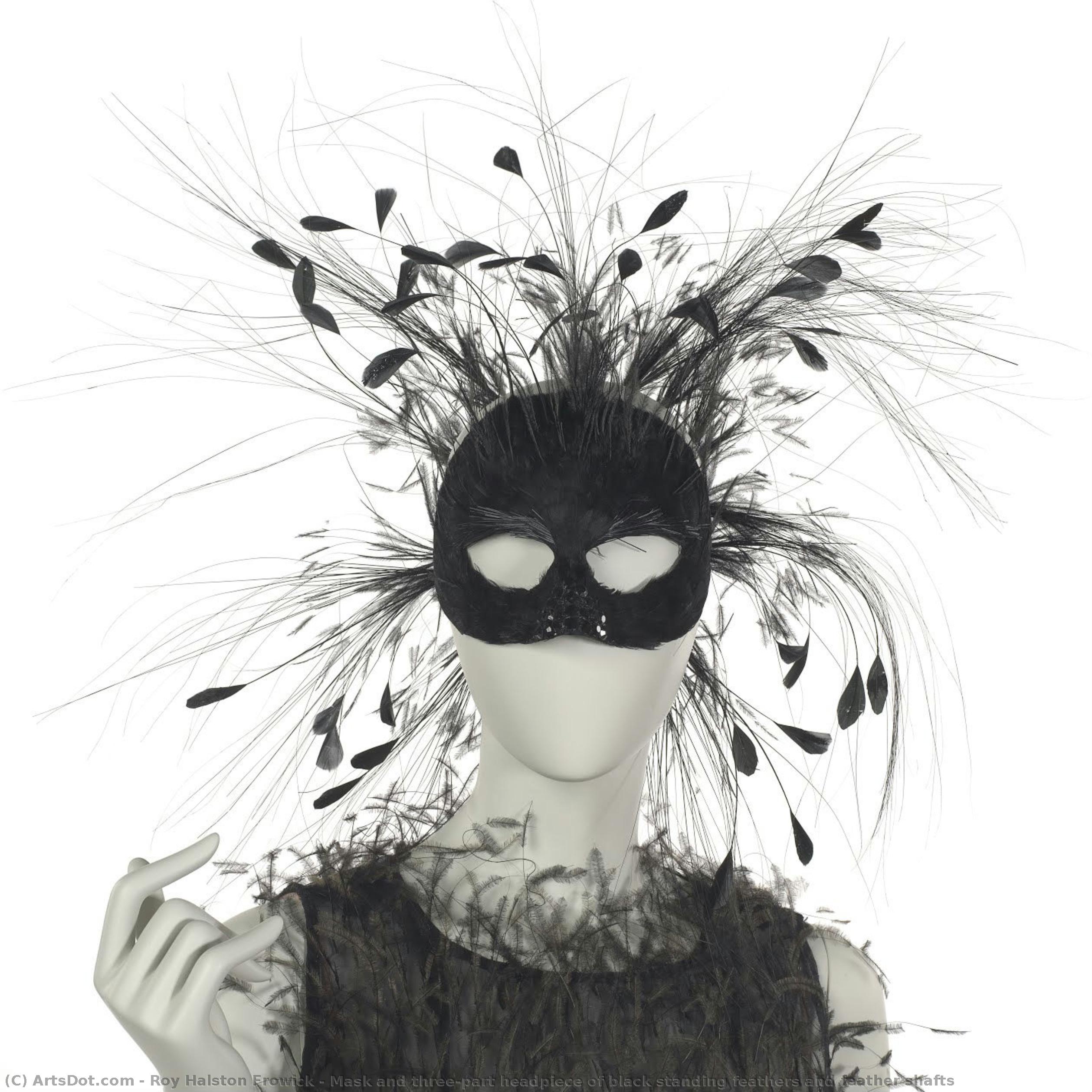 Mask And Three-part Headpiece Of Black Standing Feathers And Feather Shafts — Roy Halston Frowick