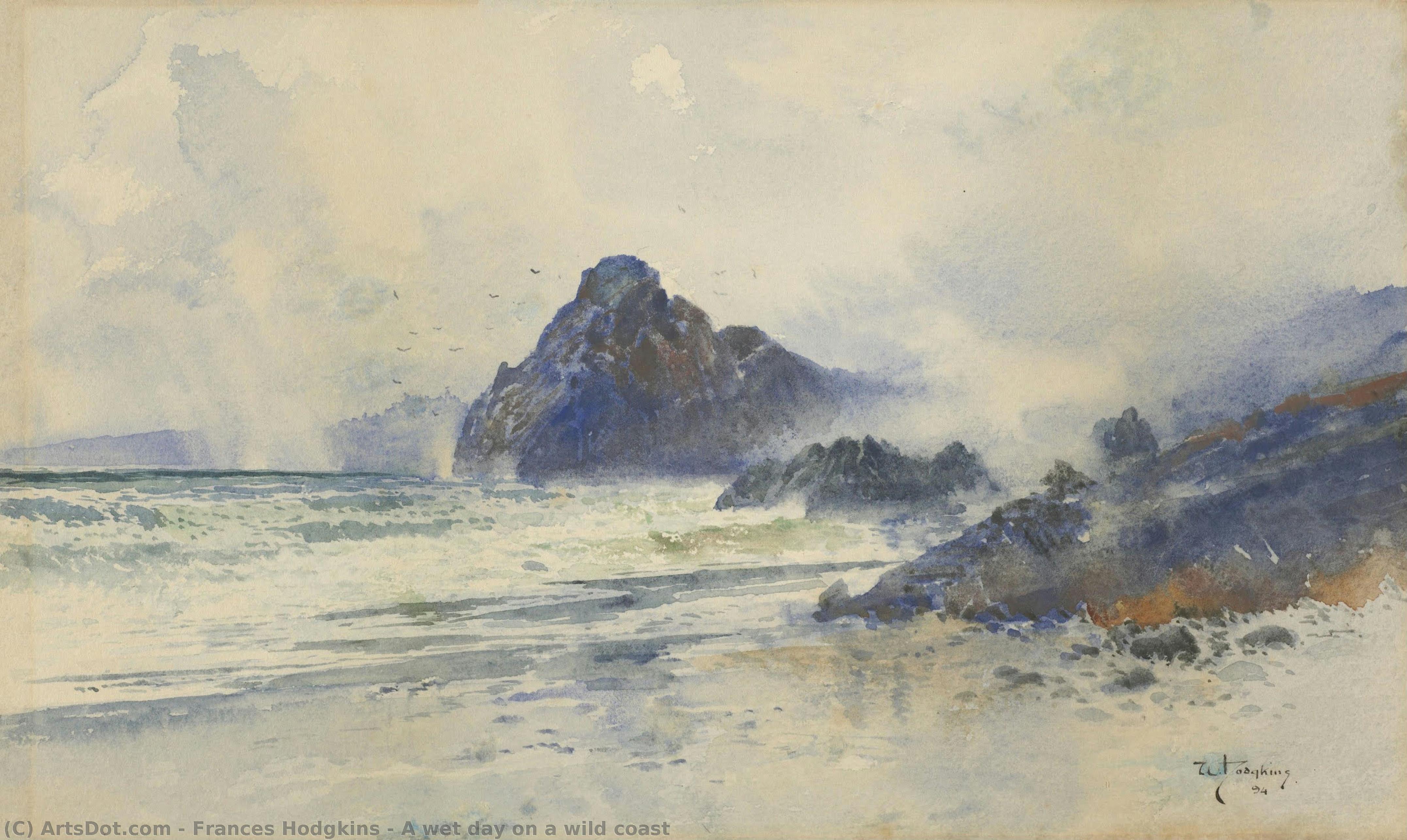 A Wet Day On A Wild Coast — Frances Hodgkins