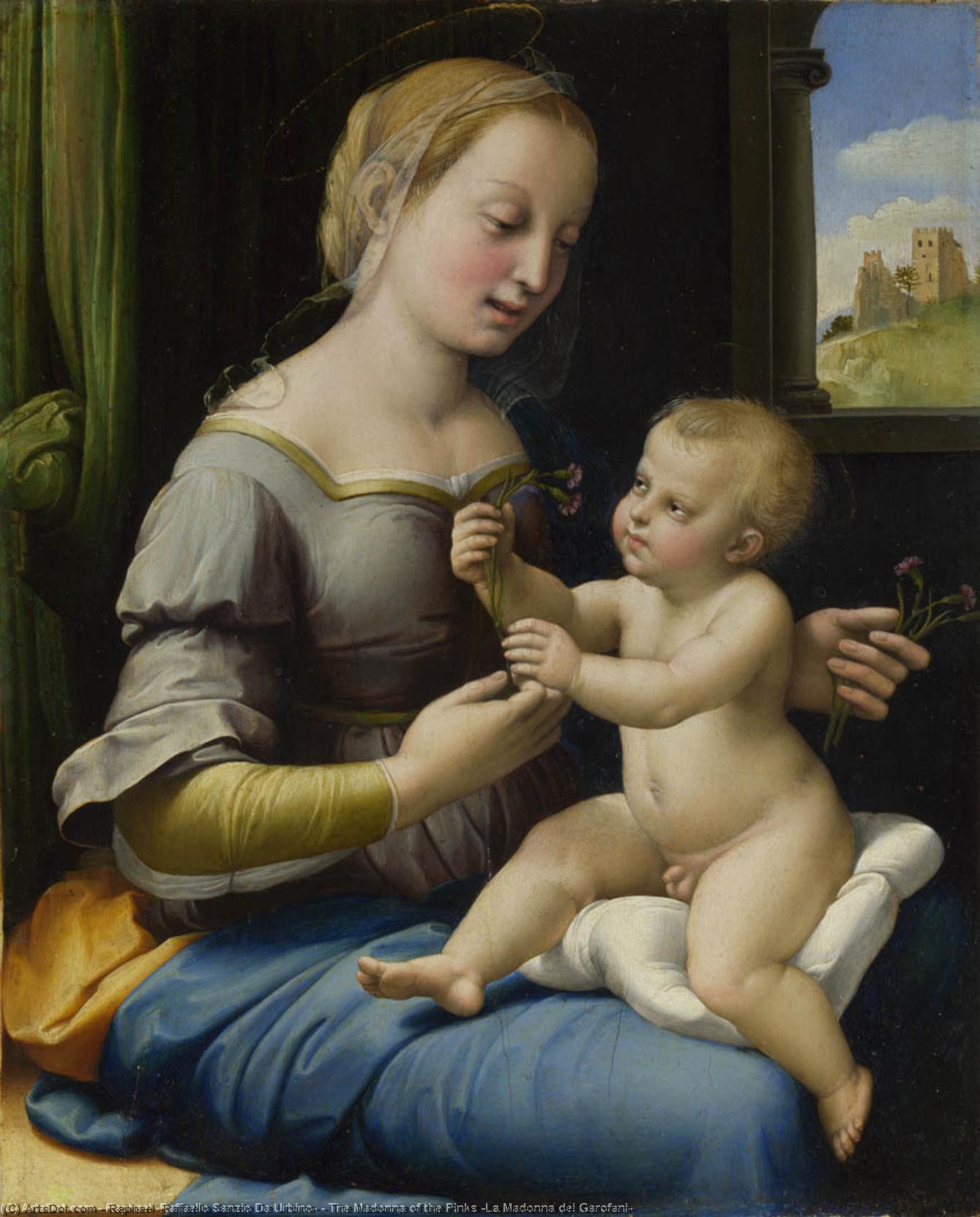 The Madonna Of The Pinks (la Madonna Dei Garofani) — Raphael