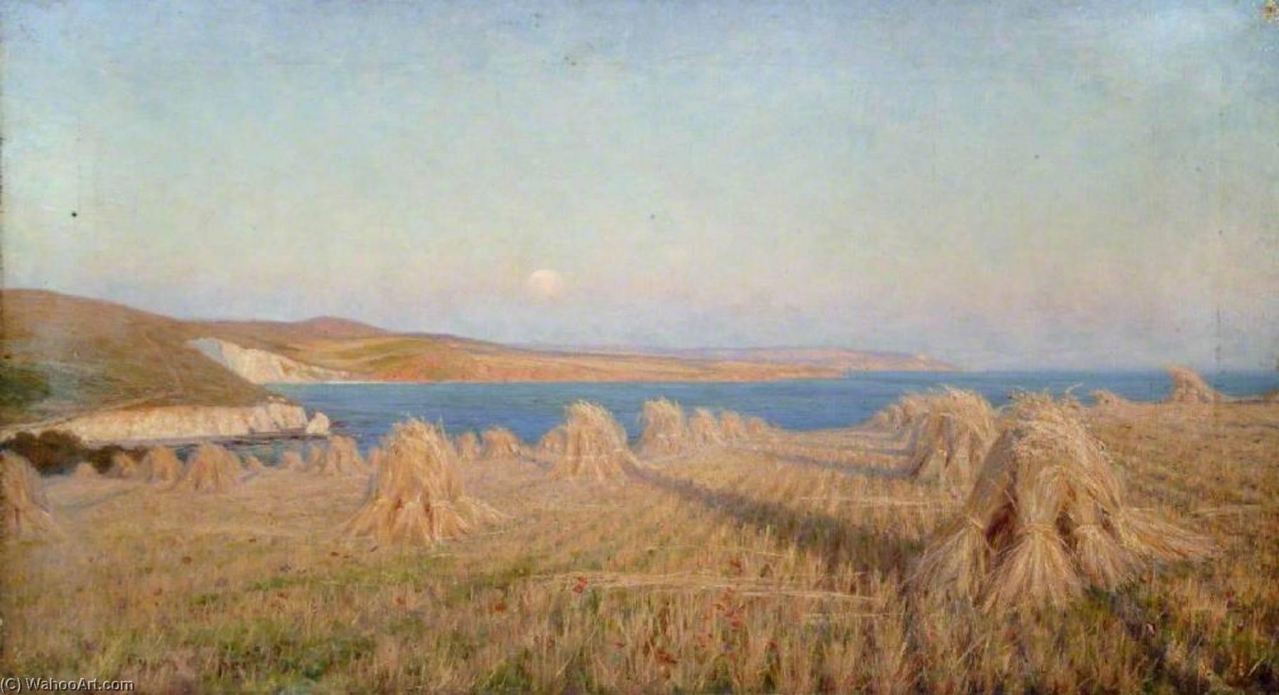 Freshwater Bay, Summer Moonlight — Byron Cooper