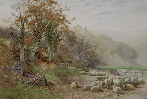 Sheep Resting In The Sunshine — Charles James Adams