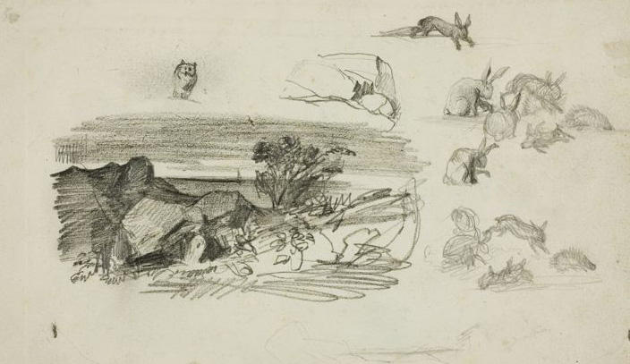 Study, Rocky Setting And Rabbits — Charles-françois Daubigny