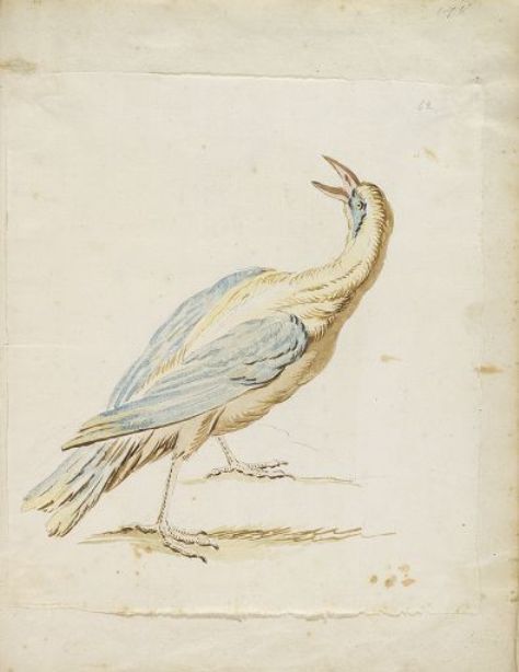 Standing Bird Looking Upward And Behind — Jean-baptiste Oudry
