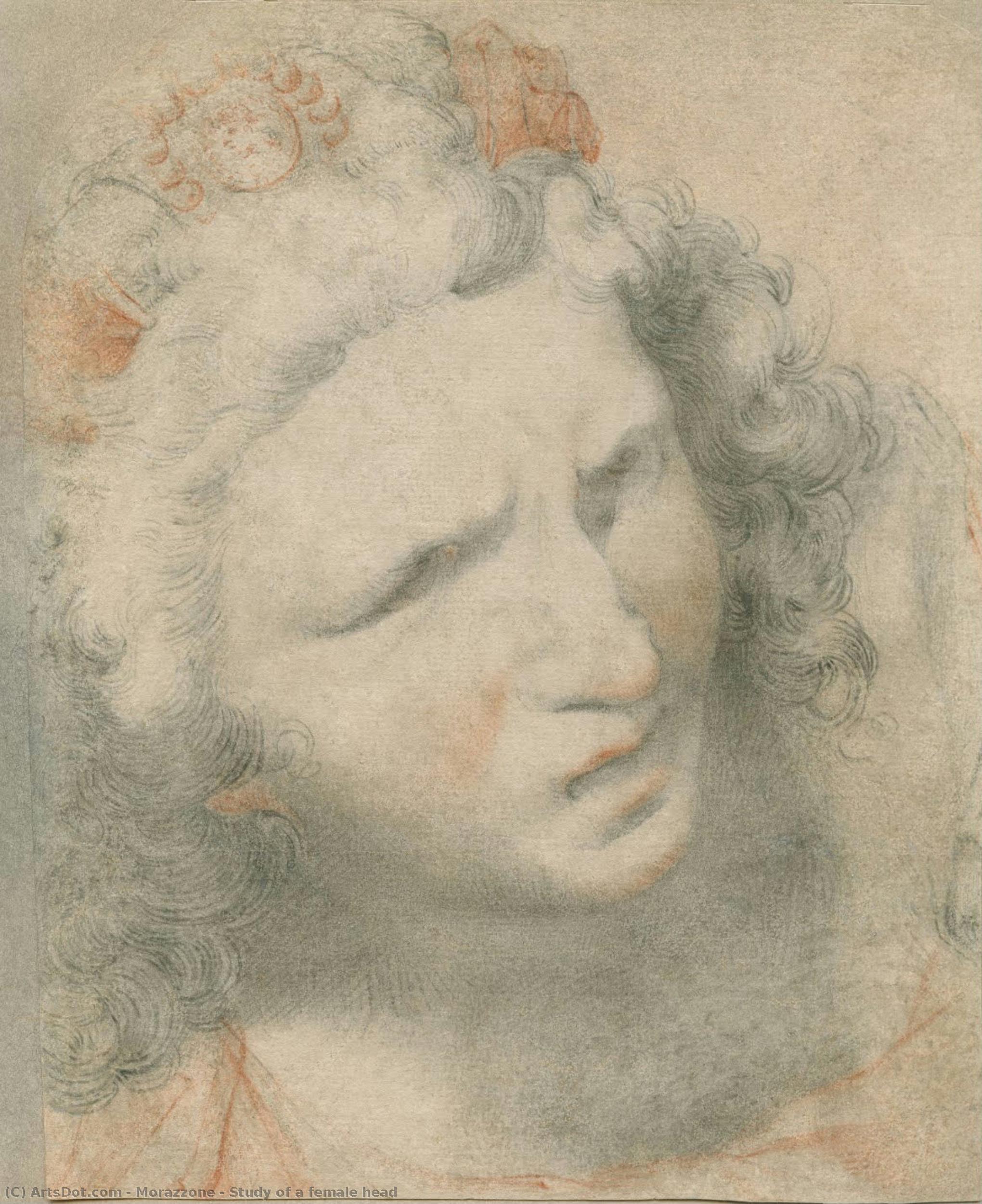 Study Of A Female Head — Morazzone