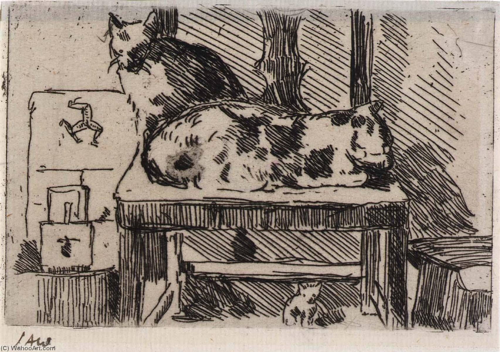 Manx Cats Isle Of Man — Julian Alden Weir