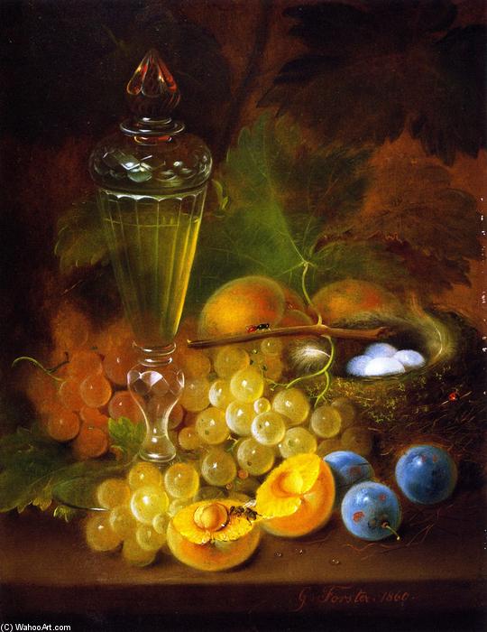 Still Life With Grapes And Nest — George Forster