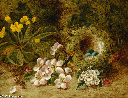 Apple Blossoms, A Primrose And Birds Nest — Oliver Clare