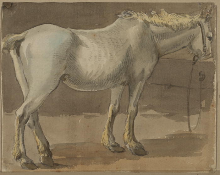 A Horse — Paul Sandby