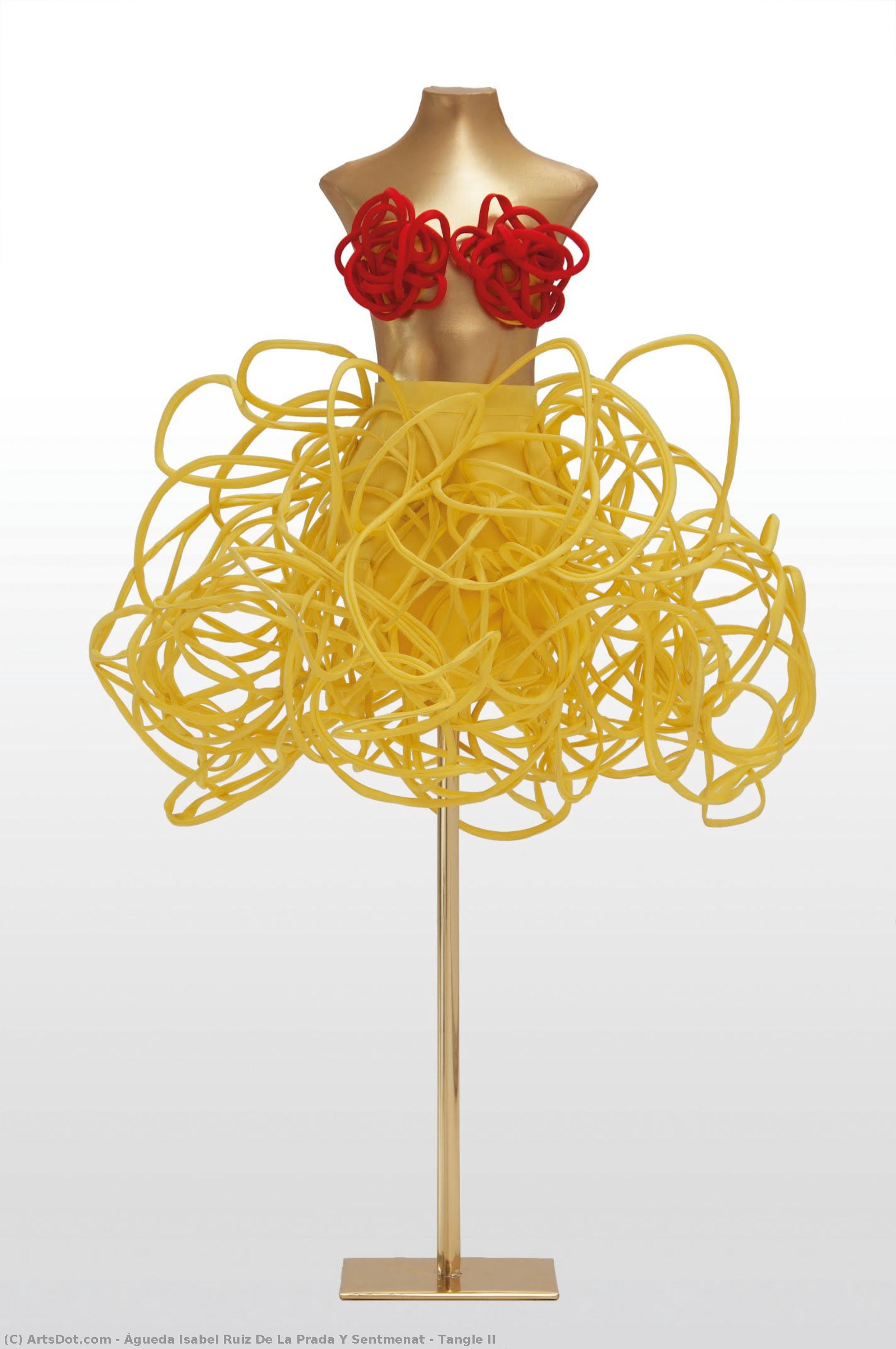 Tangle Ii — Águeda Isabel Ruiz De La Prada Y Sentmenat