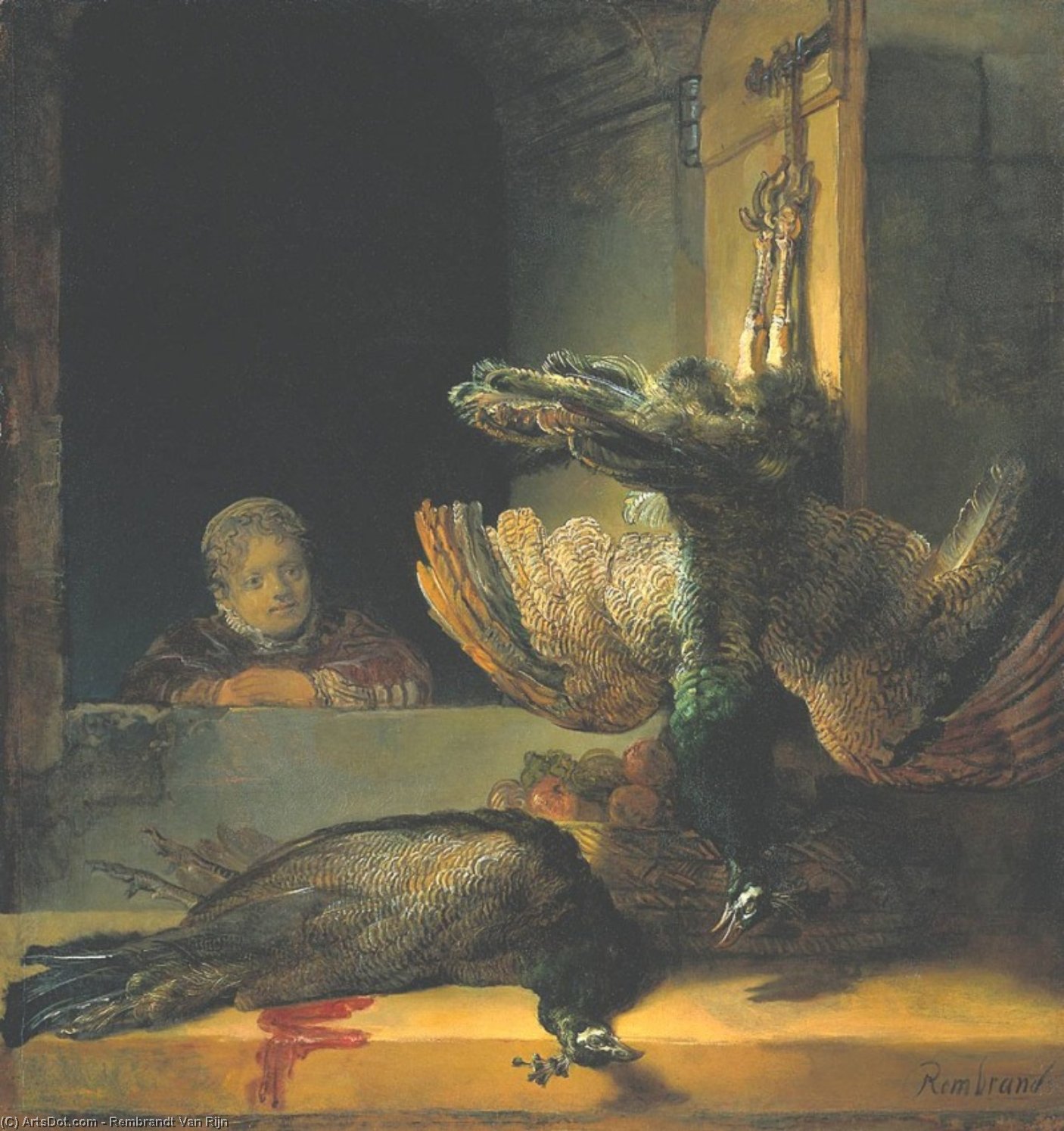 Dead Peacocks — Rembrandt Van Rijn
