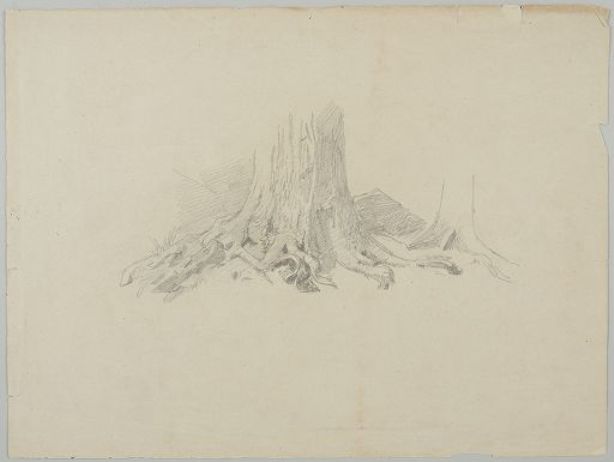Tree Roots — William Trost Richards