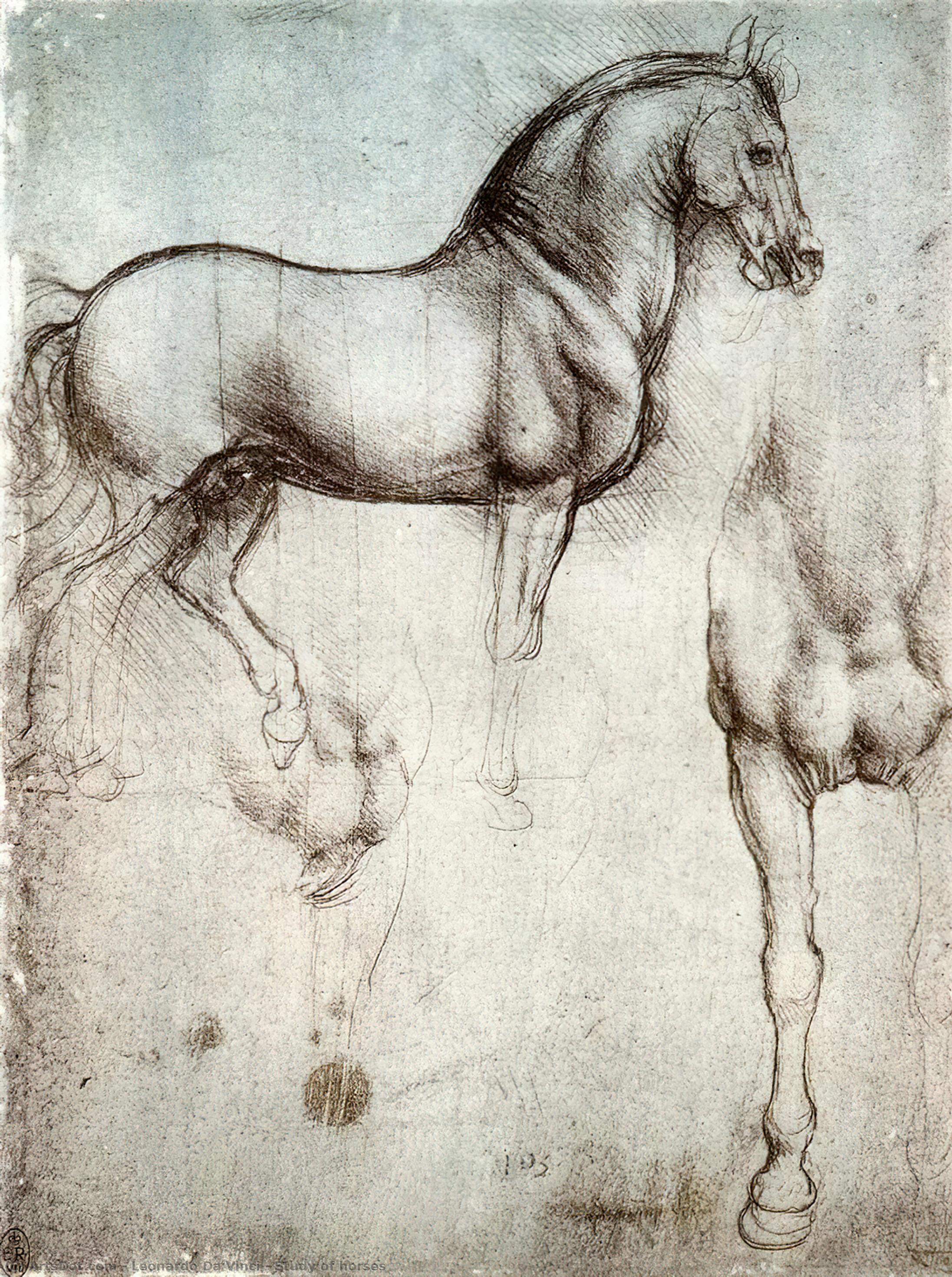 Study Of Horses — Leonardo Da Vinci