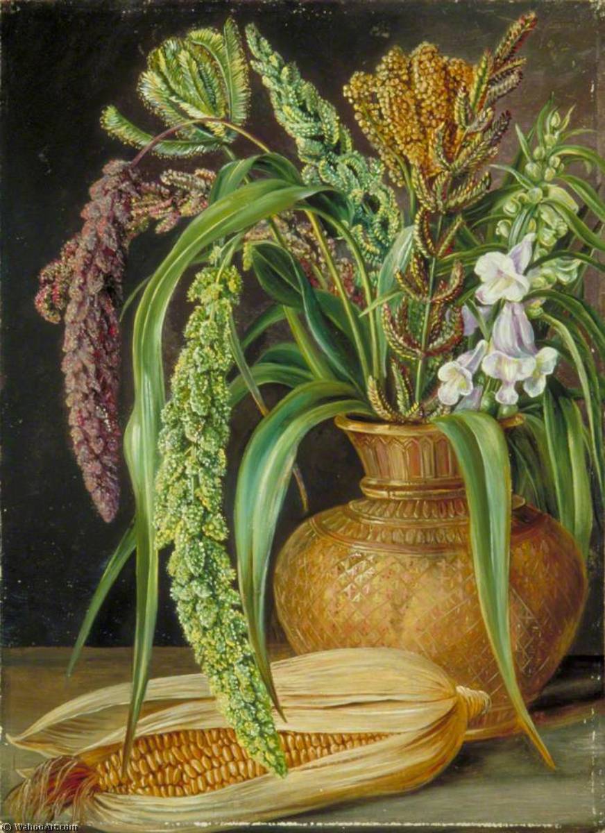 Study Of Cereals, Cultivated In Kumaon, India — Marianne North