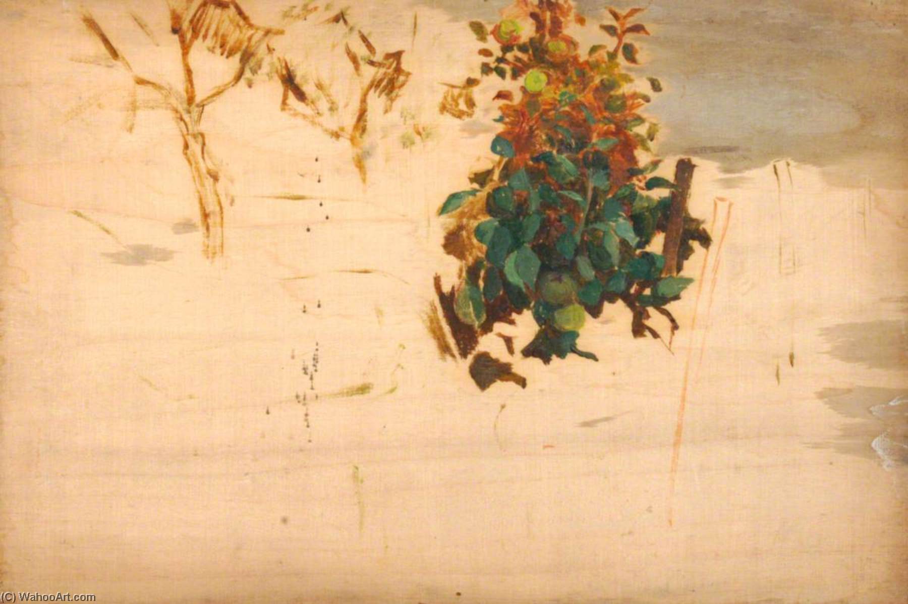 Apple Tree — Benjamin Haughton