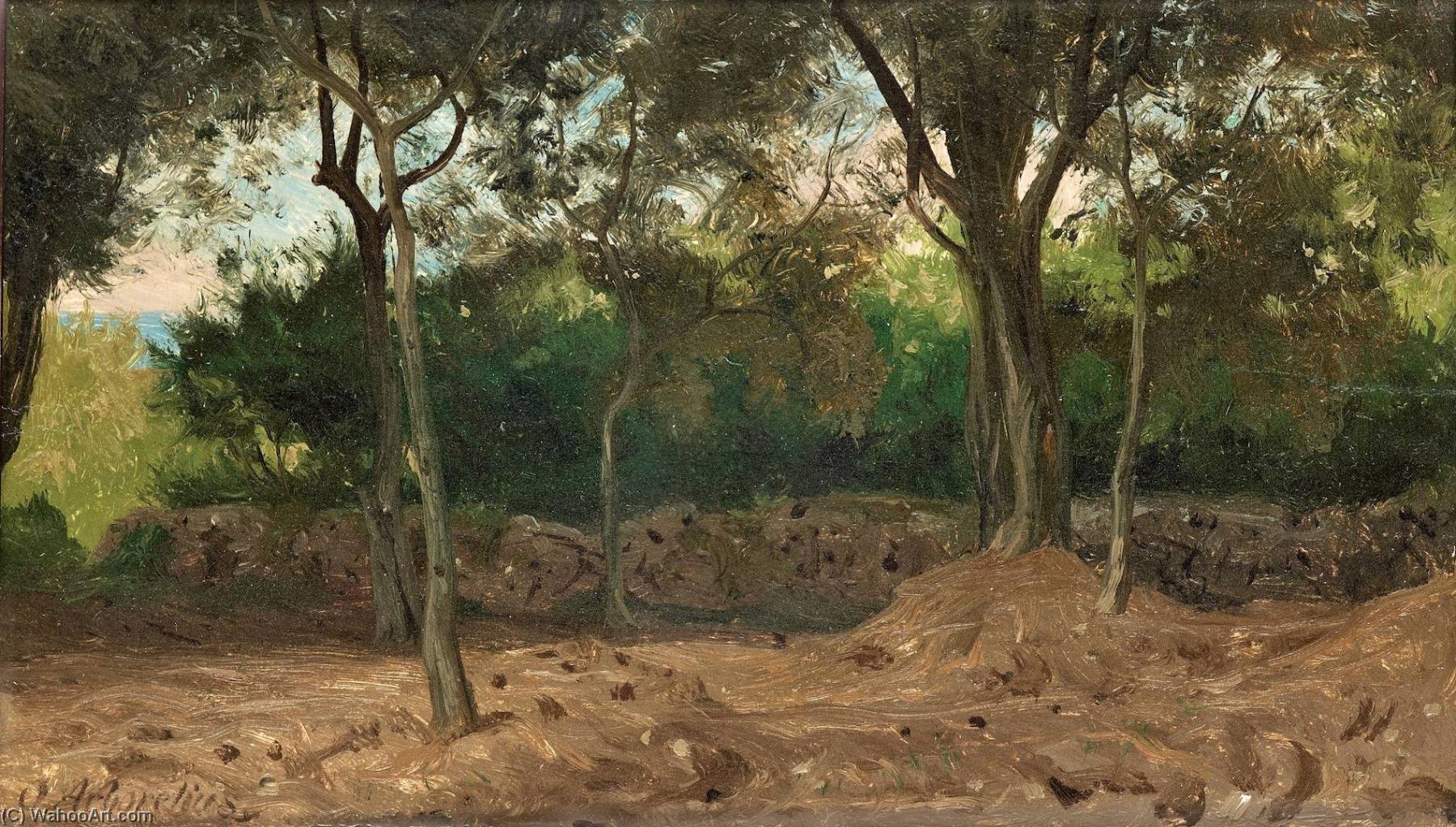 Grove In Italy — Olof Arborelius