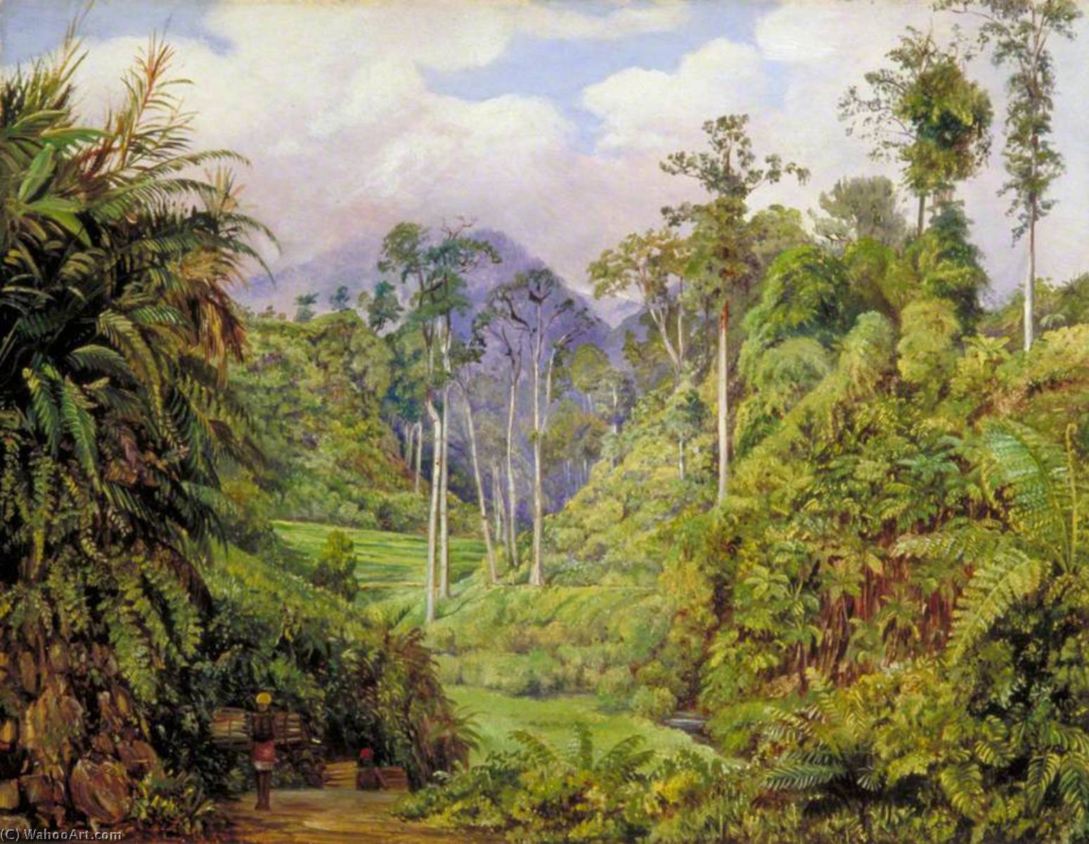 A Clearing In The Forest Of Tji Boddas, Java, With Bank Of Tree Ferns — Marianne North