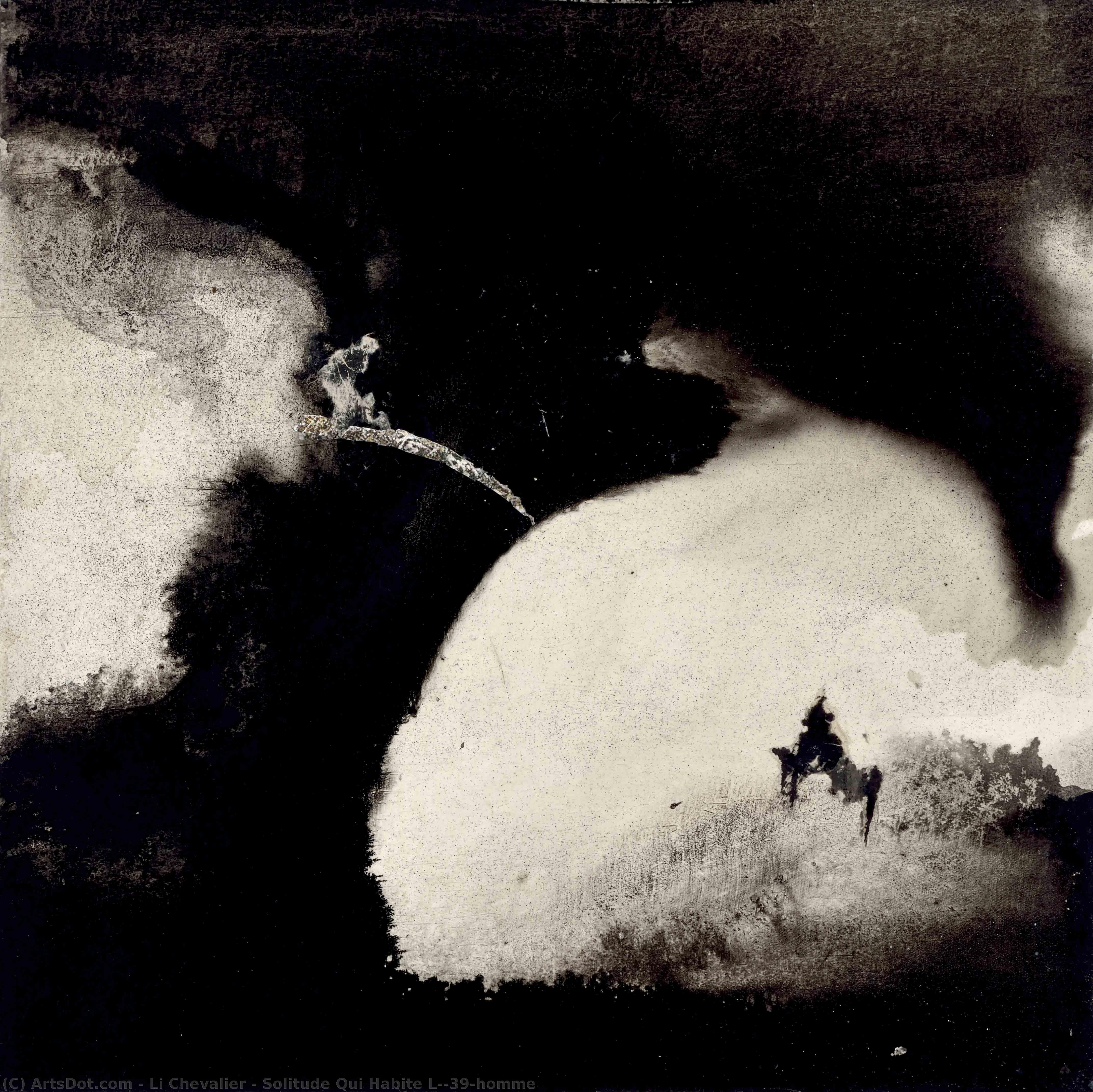 Solitude Qui Habite L'homme — Li Chevalier