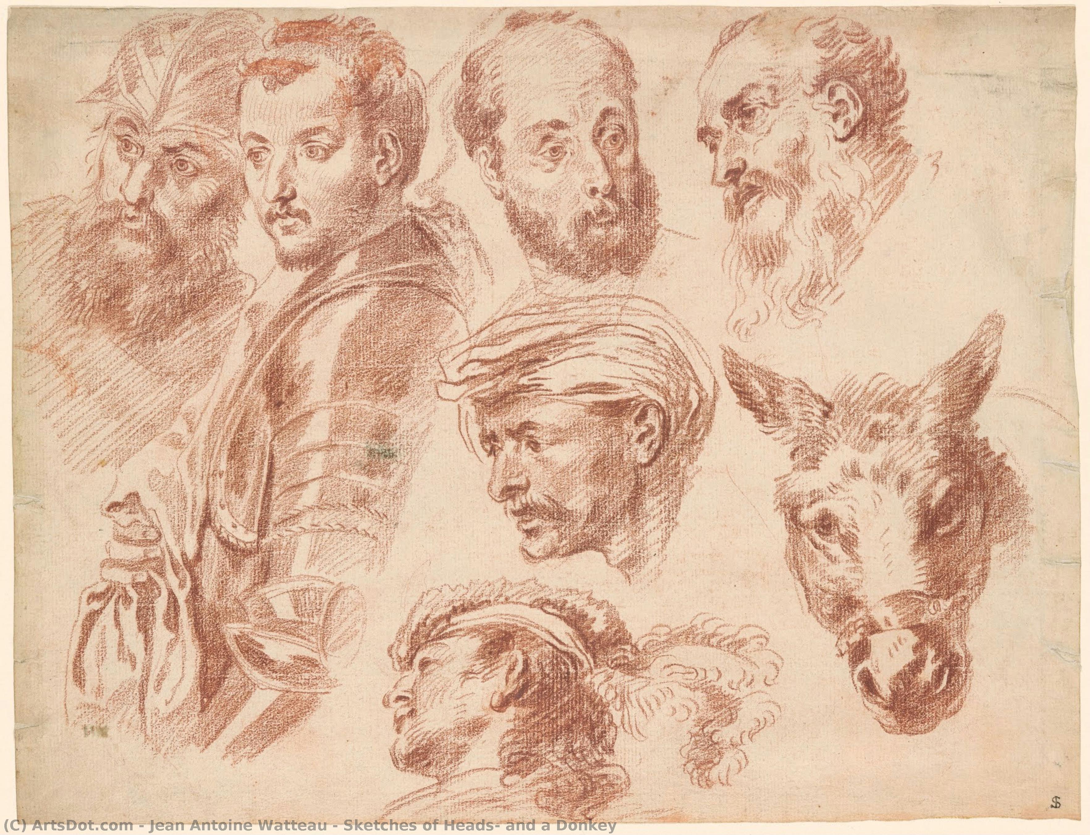 Sketches Of Heads, And A Donkey — Jean-antoine Watteau