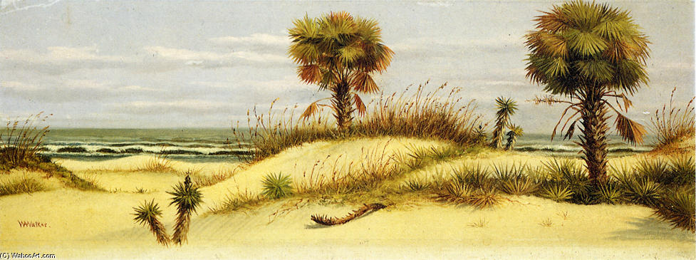 Palms At Ponce Park, Florida — William Aiken Walker