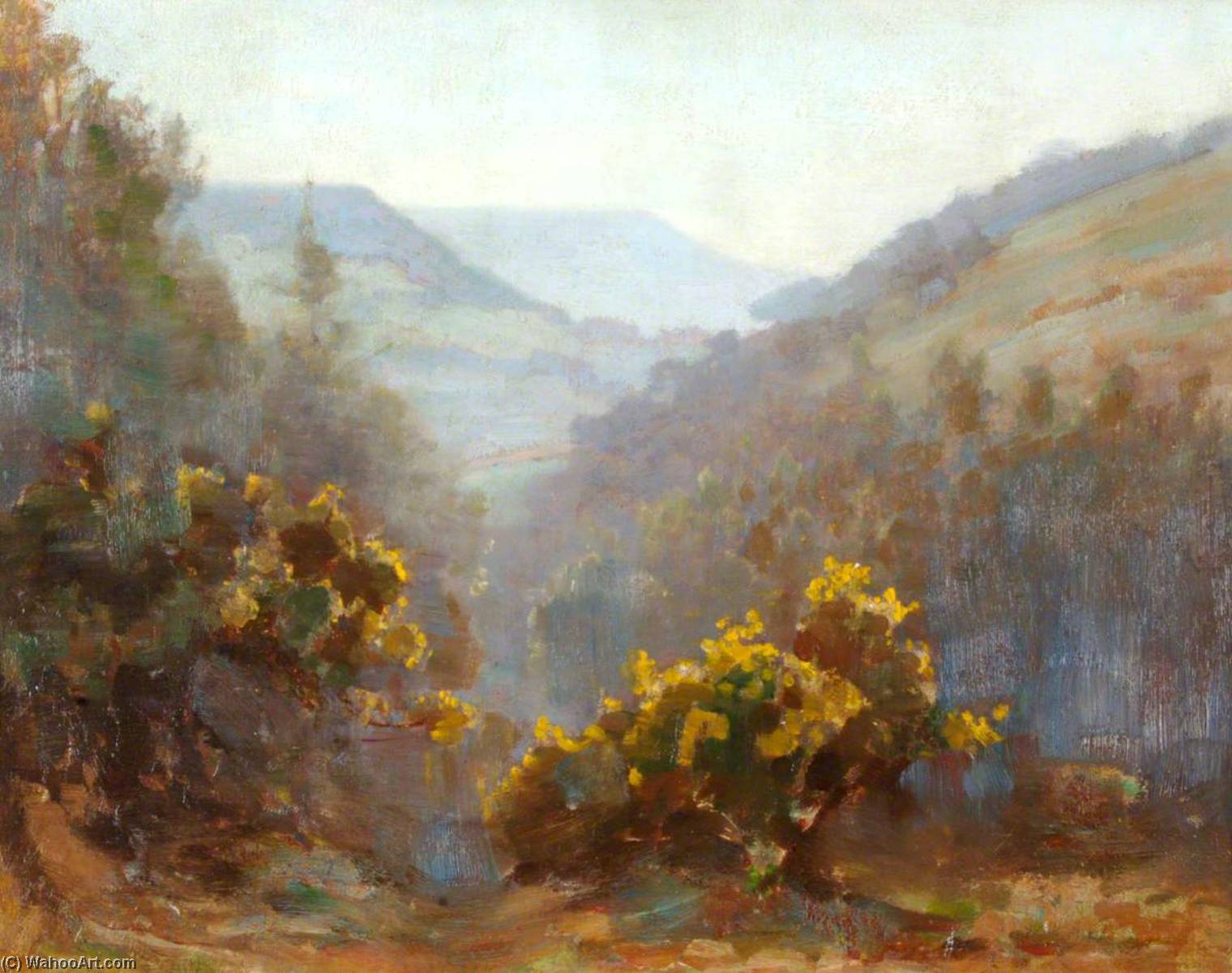 The Sid Valley — Benjamin Haughton