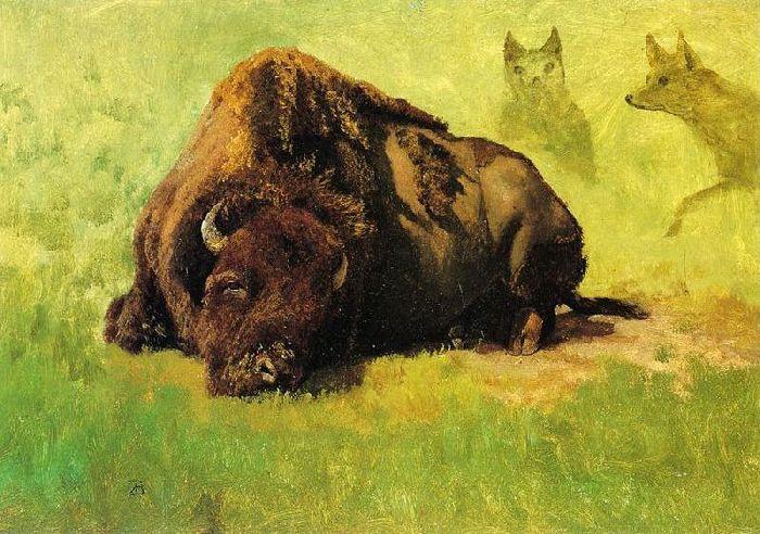 Bison With Coyotes In The Background — Albert Bierstadt